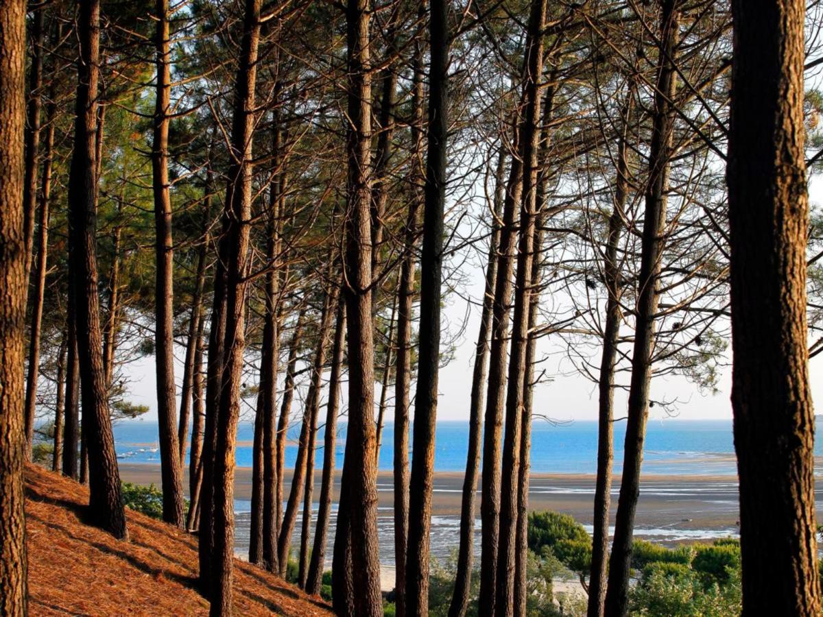 Maison Moderne Pres Plage Aiguillon - 2 Chambres, Terrasse, Jardin, Parking - Calme Et Confort - Fr-1-420-63 Arcachon Eksteriør billede